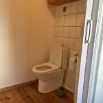Vakantiehuis Chill & Grill I Whirlpool I Kamin I Steg I Boot *