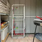 Chill & Grill I Whirlpool I Kamin I Steg I Boot